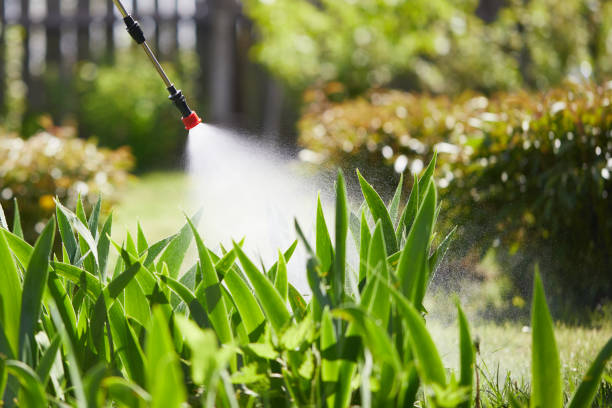 24/7 Emergency Mosquito Control experts in Pendleton, IN